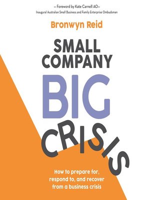 cover image of Small Company Big Crisis